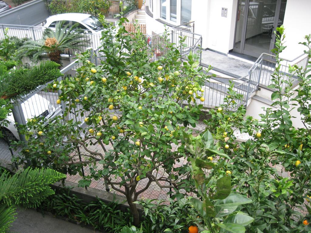 海蓝宝石酒店 奥比索拉玛里纳 外观 照片